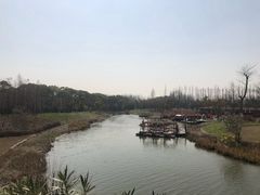 -上海长兴岛郊野公园