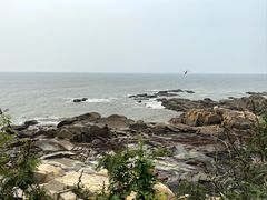 -崇武古城风景区