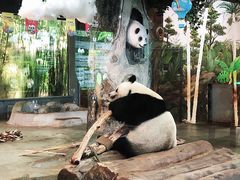 -海南热带野生动植物园