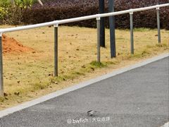 -中山市树木园