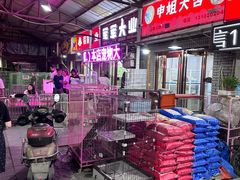 -中环花鸟鱼虫市场