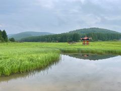 -塞罕坝国家级自然保护区