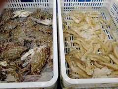 -盒马渔市(平高企业集团·平高广场店)
