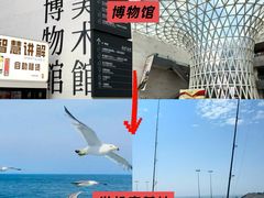 -巧克力渔家.小船海鲜胶东菜(万平口店)