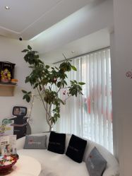 -WENDY·温迪皮肤管理