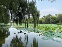 -北陵公园