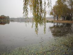 -东郊湿地公园