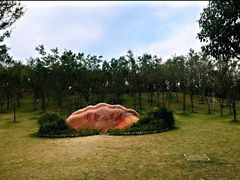 -牛岗山公园