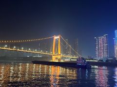 -武汉两江游览·夜游长江(汉口粤汉码头)