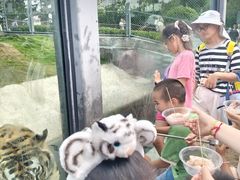 -西霞口神雕山野生动物世界