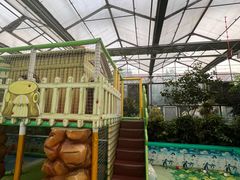 -南宫五洲植物乐园