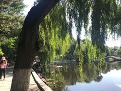 -东北师范大学(净月大街校区)