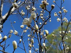 -孔乙己(后海店)