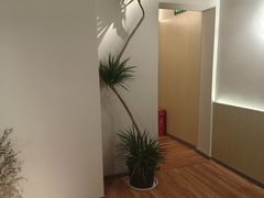-青曼SPA·按摩·采耳·足道(龙之梦店)