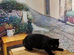 -萤火虫咖啡(后海店)