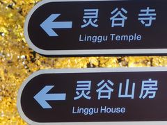 -灵谷景区