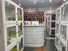 -青奢宠物·青奢猫舍