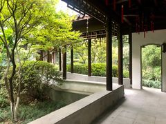 -十八棵（老龙井）御茶园(老龙井店)