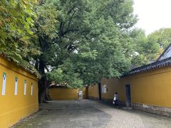 -西园戒幢律寺