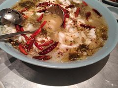 -姚姚酸菜鱼·金戈戈香港豉油鸡(喜荟城联名店)