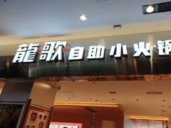 -龍歌自助小火锅(市南金茂湾店)
