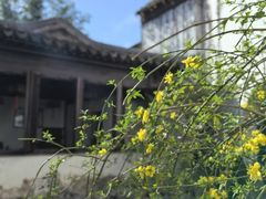 -艺圃