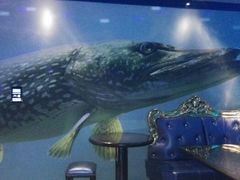 android_upload_pic-佰迪乐KTV(江北丰宝商业城店)