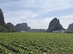 -钟山水墨田园