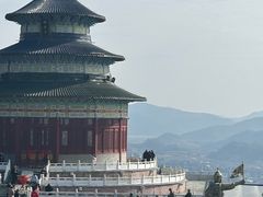 -黄贤森林公园