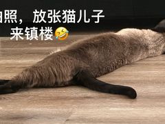 -陶德砂锅(蜀汉路店)