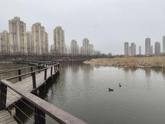 -前关湿地公园