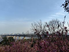 -龟山风景区-龟山电视塔