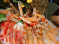 -初花·日本料理