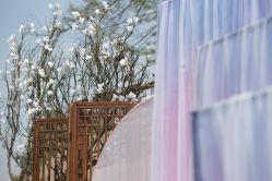 点击看大图 -婚礼美学