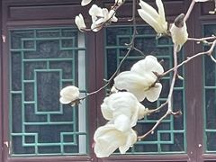 -护国法轮寺