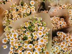 -循礼门鲜花花市(武汉循礼门店)