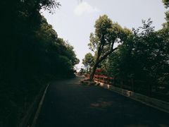 -杭州半山国家森林公园