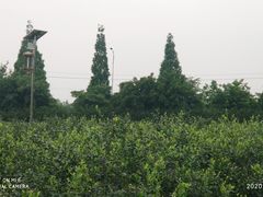 -金谷域澳洲庄园