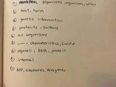 -JT PREP国际学科课程·IB·AP·Alevel(陆家嘴校区)