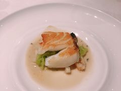 -蝶舍·MAISON PAPILLON