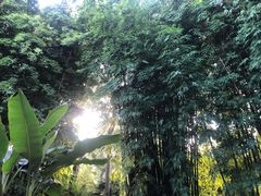 -云南滇池花园国际大酒店温泉