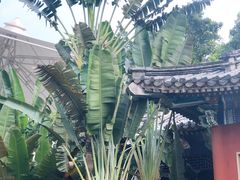-珠海圆明新园