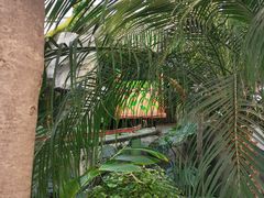 -南宫五洲植物乐园