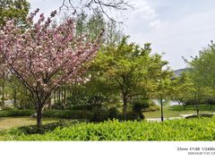 -雅达·阳羡溪山小镇中心