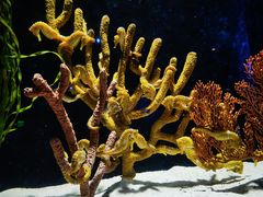 -珠海长隆海洋王国