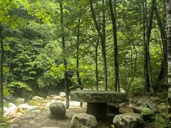 -青峰峡国家森林公园