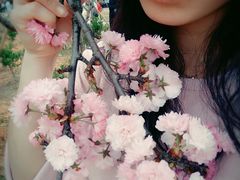 -天适樱花悠乐园