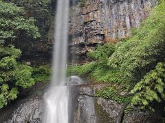 -龙苍沟森林公园