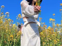 -瑶湖郊野森林公园