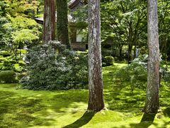 -三千院